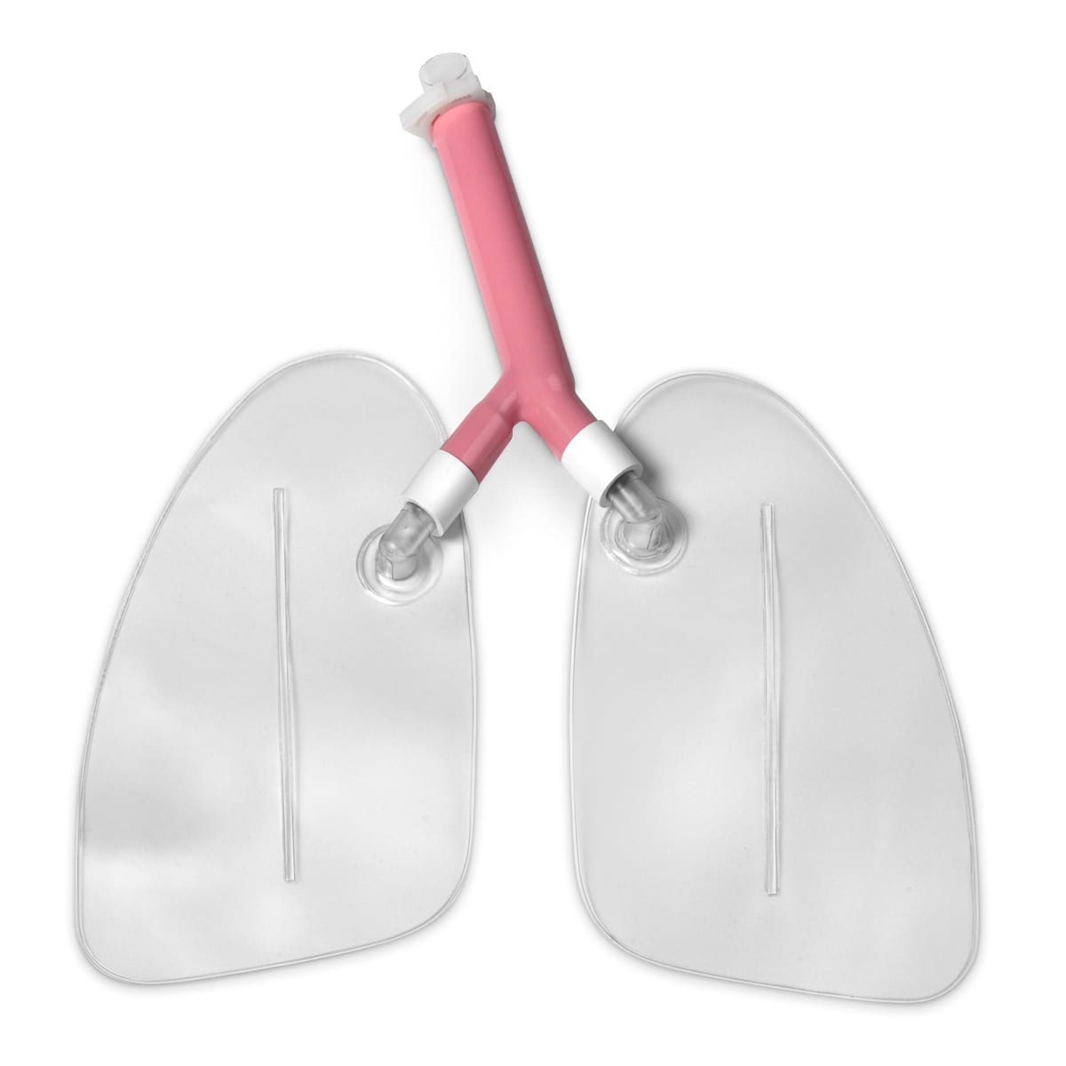 Airway Larry Airway Management Trainer Manikins - lungs - Simulaids